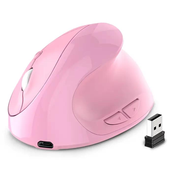 Souris verticale Rechargeable sans fil USB 2.4G souris ergonomique pour ordinateur portable souris d