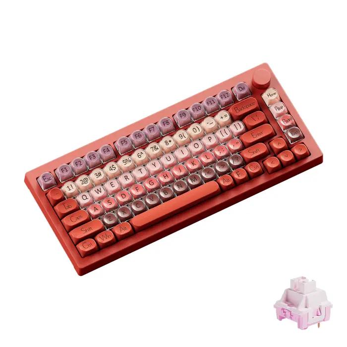 AKKO 5075 X Veekos K75 clavier mécanique de jeu 75% rvb 3/5 broches clavier personnalisé filaire d'é