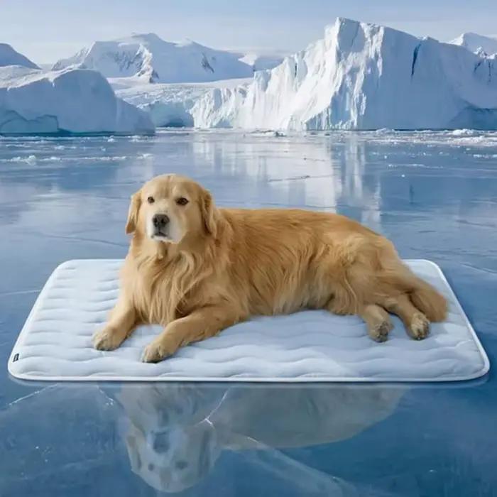 Tapis rafraîchissant pour chien lavable et antidérapant, confortable pour la sieste des chiots en été, pour l'intérieur, l'extérieur, la voiture, la cage, la maison, le sol