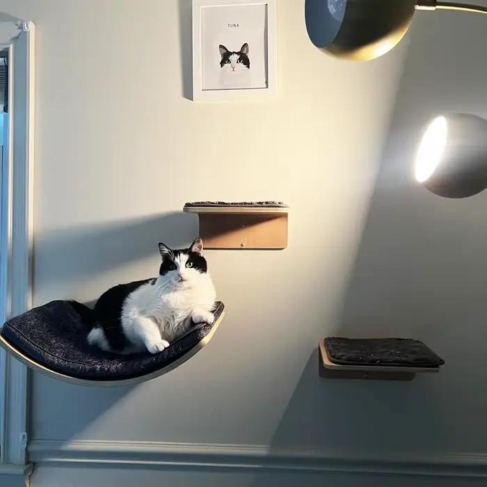 Étagère d'escalade murale en bois pour chat, marches murales pour chats, escaliers muraux avec tapis à gratter, meubles muraux pour sauter