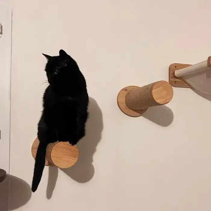 Étagère d'escalade murale en bois pour chat, marches murales pour chats, escaliers muraux avec tapis à gratter, meubles muraux pour sauter