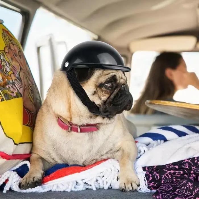 Casques pour animaux de compagnie chien chat vélo casque de moto avec lunettes de soleil chapeau de sécurité pour chien pour voyage Protection de la tête fournitures pour animaux de compagnie S/M
