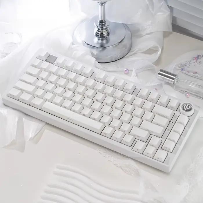 Capuchons de touches translucides minimalistes blancs gravés sur le côté Cherry PBT 130