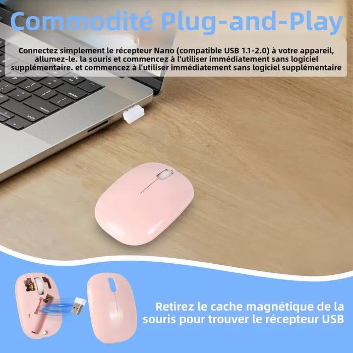 Mini souris sans fil silencieuse