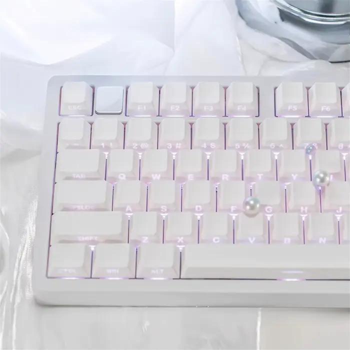 Capuchons de touches translucides minimalistes blancs gravés sur le côté Cherry PBT 130