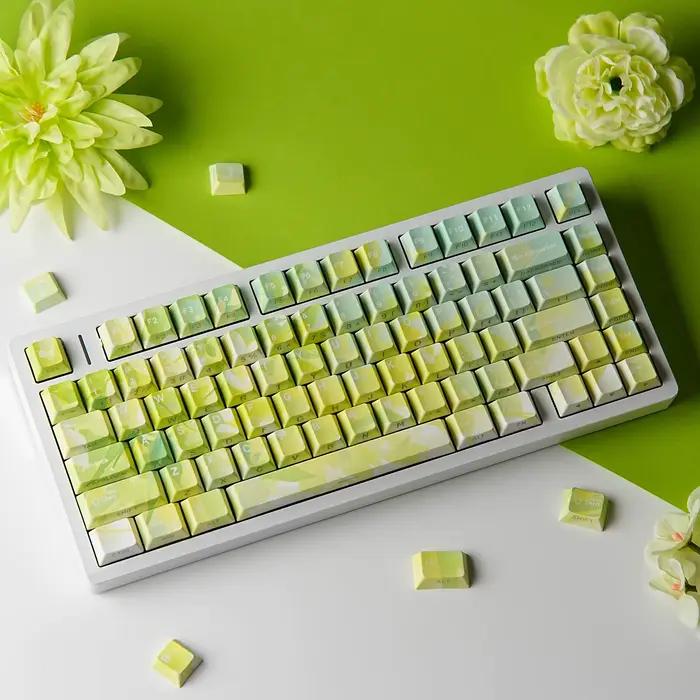 Capuchons de touches de clavier mécanique PBT Cherry Dye Sub