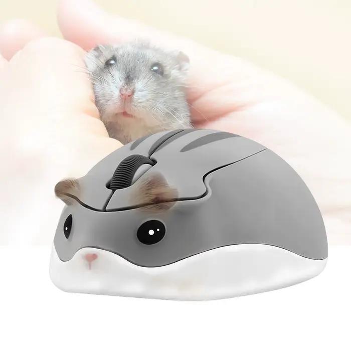 Souris sans fil ergonomique
