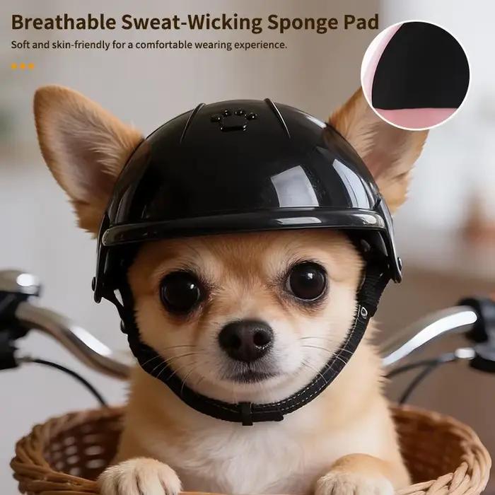 Casque de moto pour animaux de compagnie, chien, chat, équipement de sécurité pour les aventures en plein air
