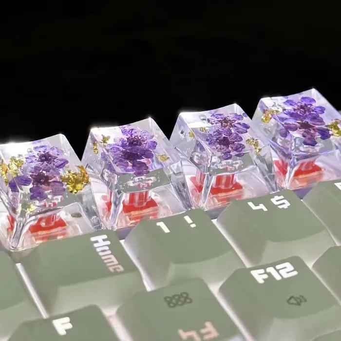 Capuchons de touches translucides en fleurs séchées Gypsophila