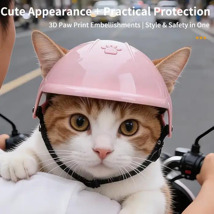 Casque de moto pour animaux de compagnie, chien, chat, équipement de sécurité pour les aventures en plein air