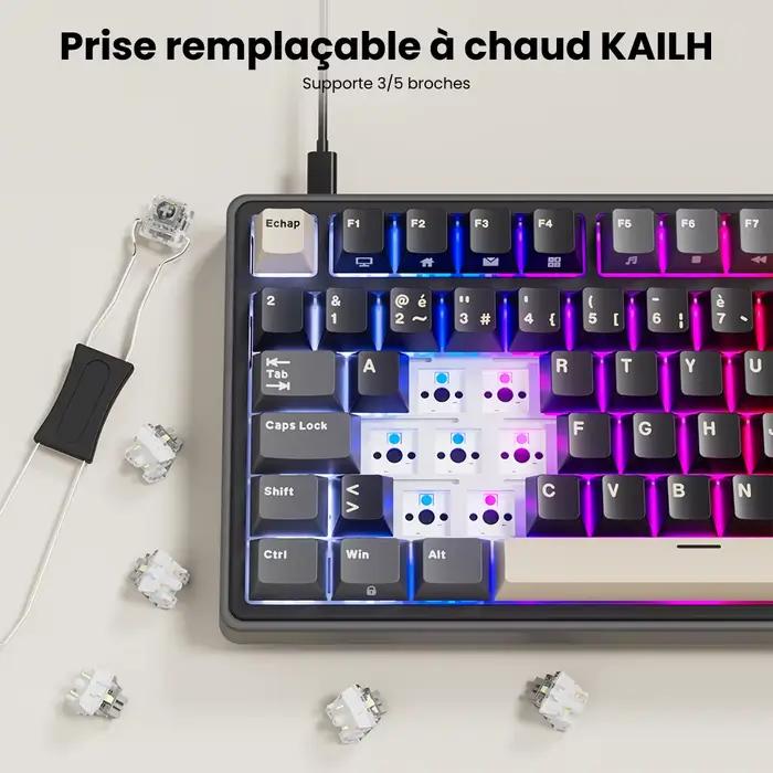 Royal Kludge RK R75 clavier de jeu filaire 80 touches 80% joint rvb rétro-éclairé