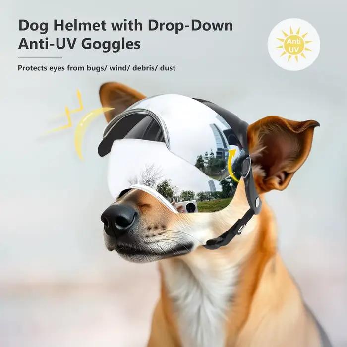 Casque pour chien de petite race, casque de moto pour animaux de compagnie avec visière argentée rabattable (sans rivets et avec rivets)