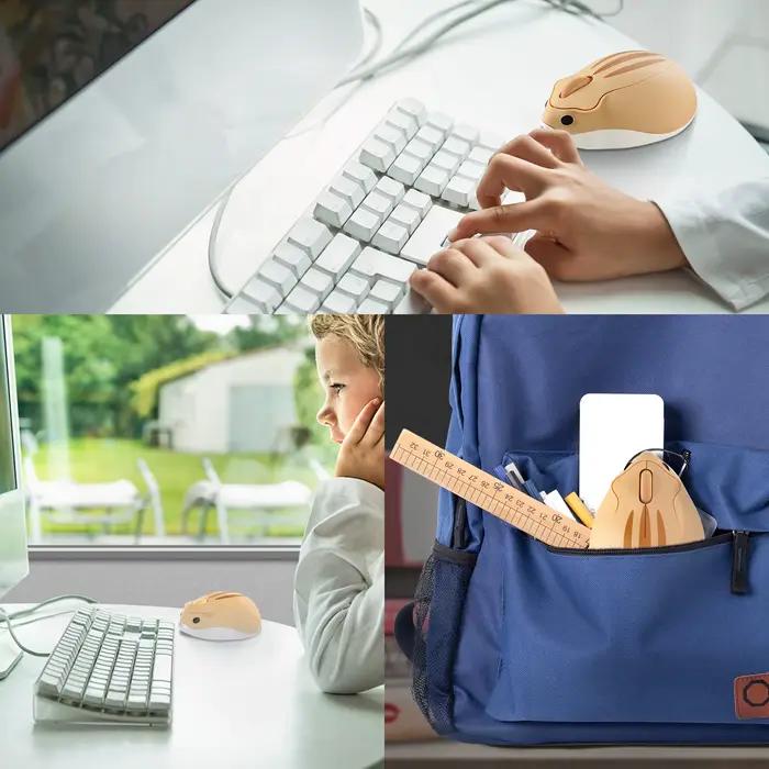 Souris sans fil ergonomique