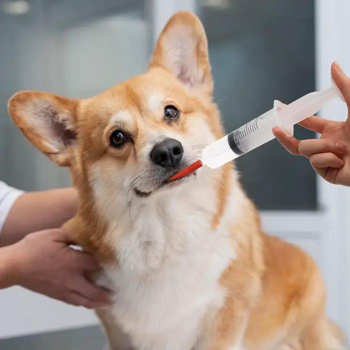 Seringue d'alimentation pour agneaux avec 2 tubes rouges de 60 ml, seringue réutilisable pour agneaux, chiens, moutons, porcelets, lapins