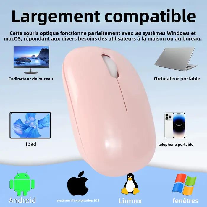 Mini souris sans fil silencieuse