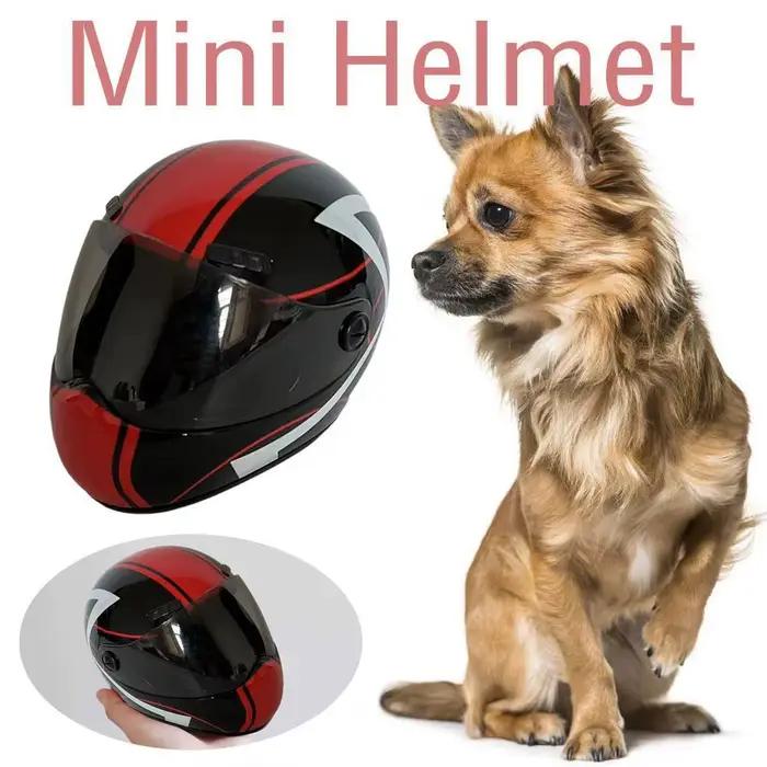 Casque de moto intégral pour animaux de compagnie, mini casque de sécurité pour moto, protection de la tête en plein air, chapeau dur pour animaux de compagnie, chat et chien