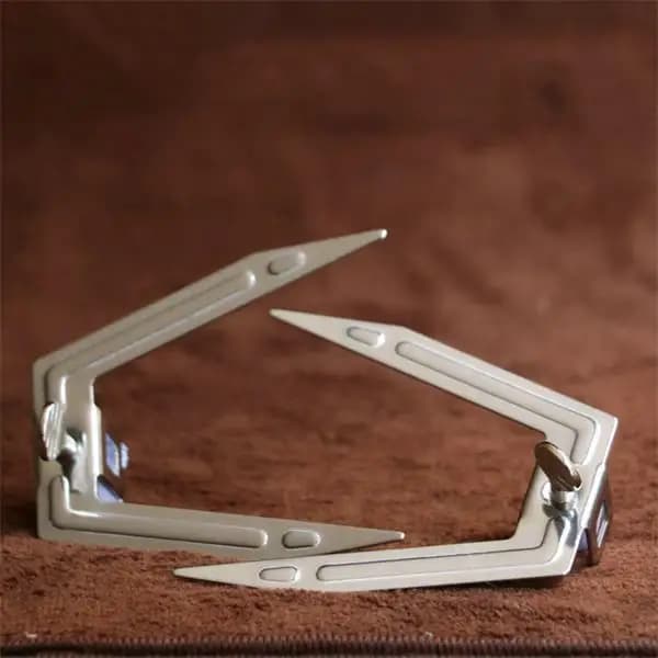 Accessoires de four : Ustensile de rôtissoire en acier, broche à poulet, fourchette pour poulet gril