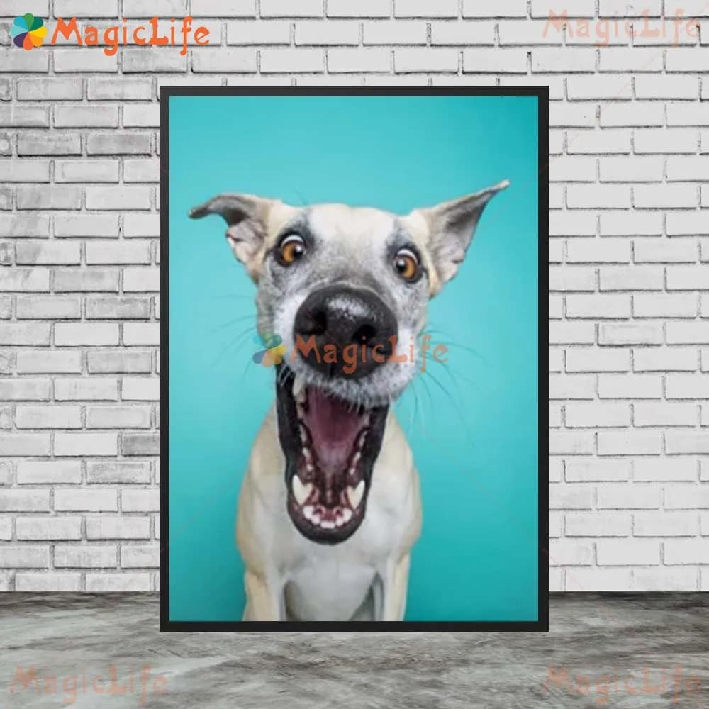 Affiches de photographie de chien de compagnie, sourire, images murales pour salon, affiche nordique