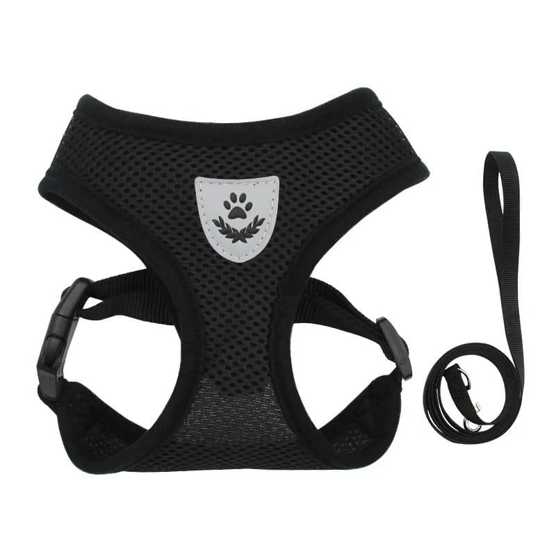 Laisse et harnais pour chat, tente pour chaton, sangle de cou pour chats, Anti-évasion, gilet pour a