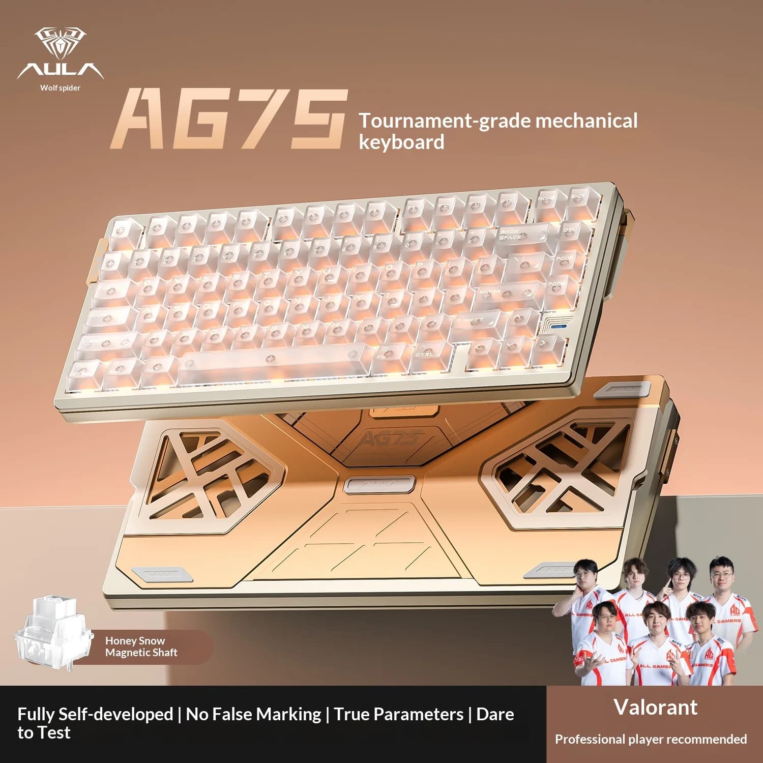 Clavier mécanique filaire à axe magnétique AULA AG75 pour le gaming et l'e-sport, entièrement en alu