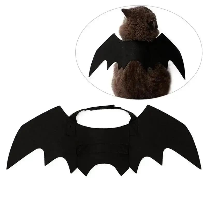 Costume de Cosplay chat mignon, ailes de chauve-souris noires, ceinture de sécurité, jeu de rôle, ch