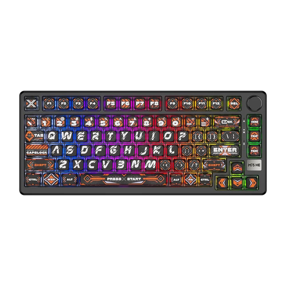 Clavier mécanique magnétique RK ROYAL KLUDGE M75 HE 8KHz RT0.01mm 81 touches RGB filaire avec joint,