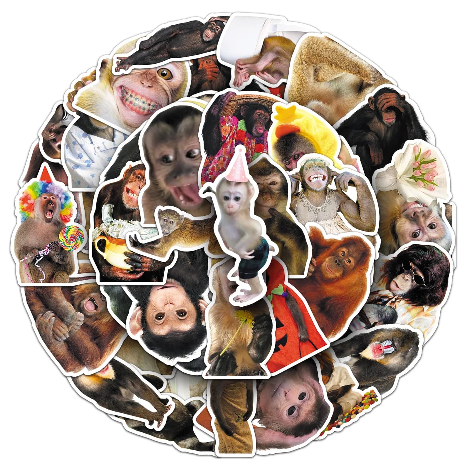 50 autocollants amusants de singe fou avec expressions faciales réalistes pour décorer téléphone, sk
