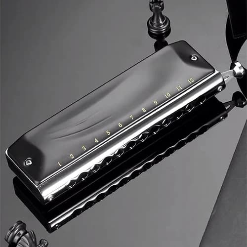 Orgue buccal professionnel Armonica Harp Key, JDR GM0648 DNomatic, 12 trous, 48 tons, musique