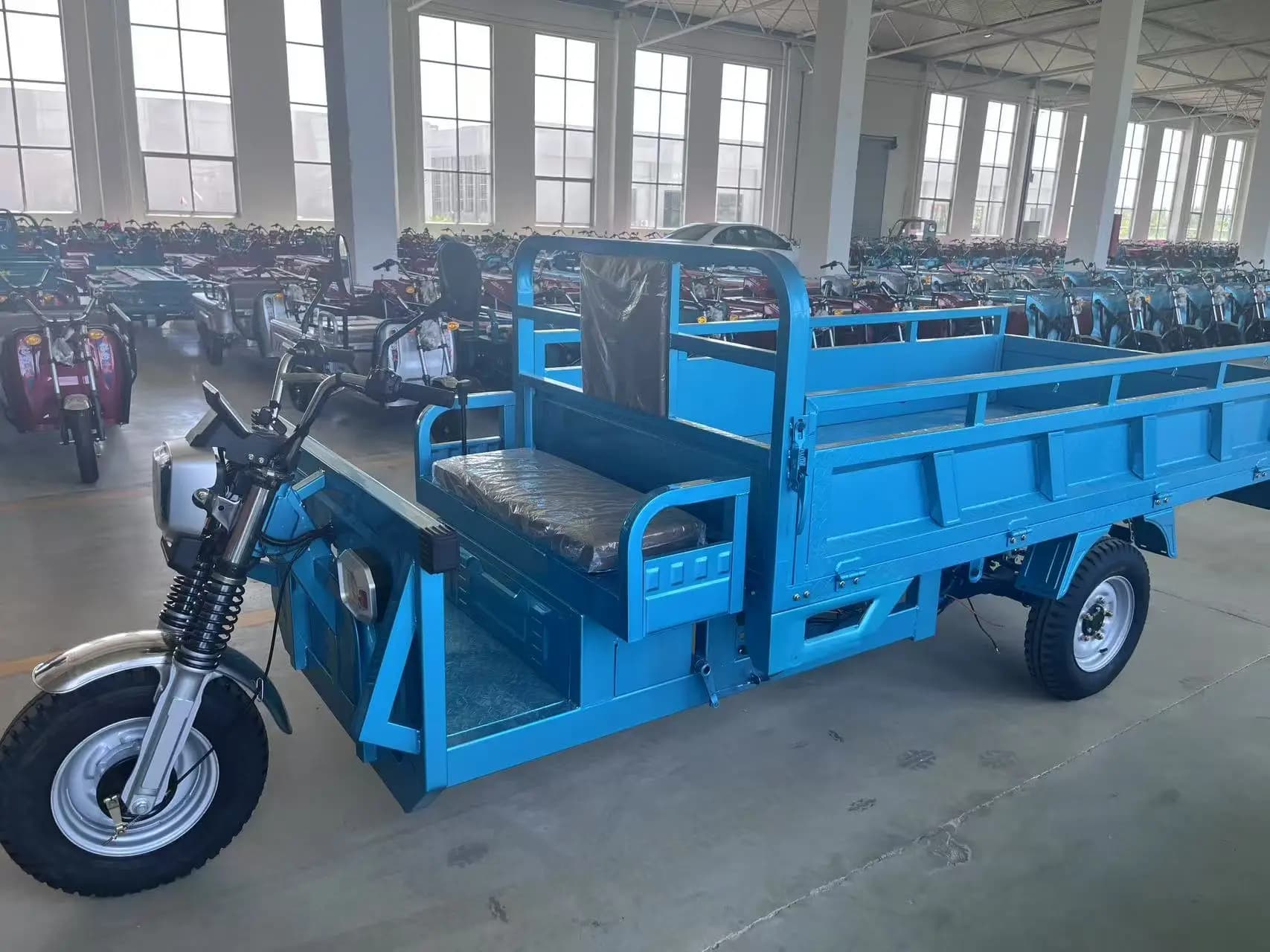 Tricycle agricole, tricycle électrique 1000W, capacité de charge 1 tonne, véhicule de livraison spéc