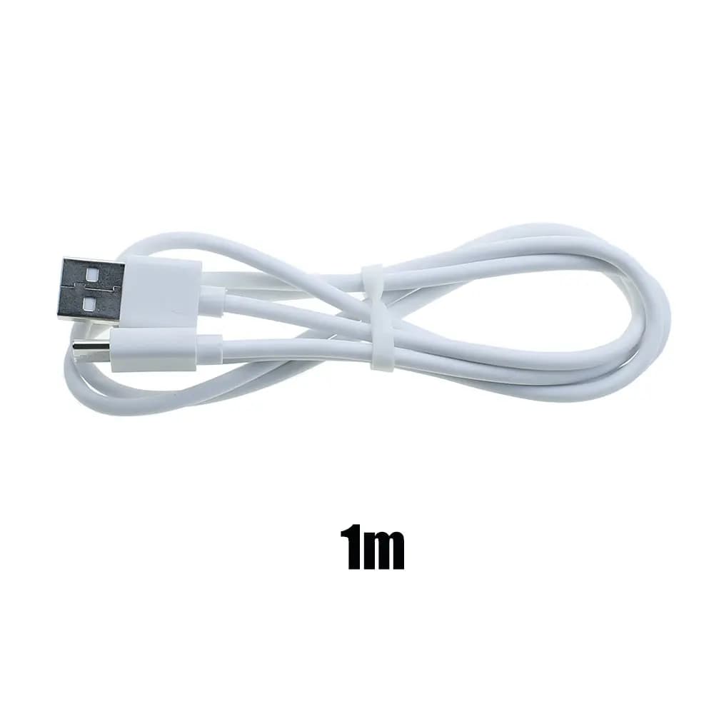 Câble de chargement USB Type C pour contrôleur PS5 /Xbox série S X /Switch Lite, 1m/2m/3m, cordon d'