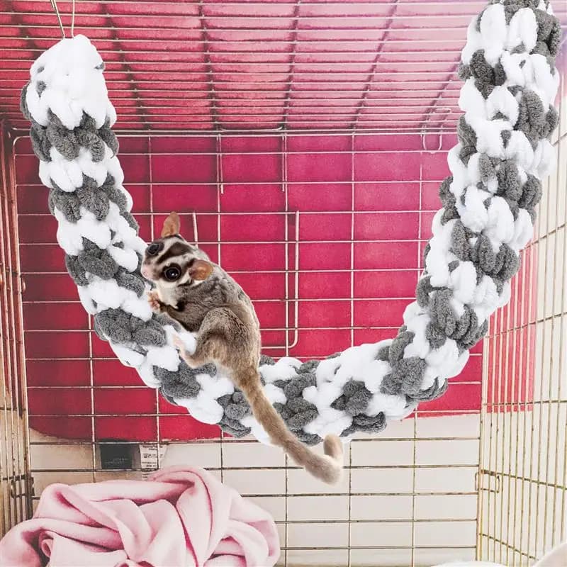 Jouet de Rat intéressant