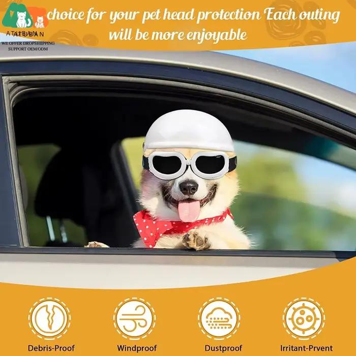 Casque et lunettes pour animaux de compagnie, casquette pour chien, chapeau pour chien, lunettes de soleil pour l'équitation, protection de sécurité des activités de plein air, animaux de compagnie