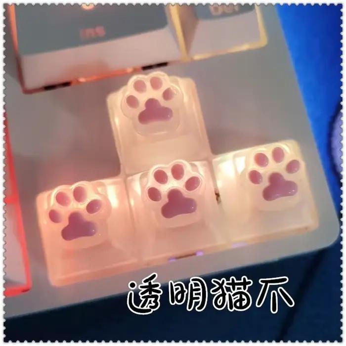 4 pièces/ensemble joli capuchon de clé griffe de chat personnalité patte