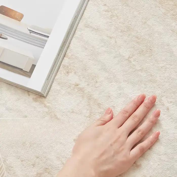 Tapis de salon rond de grande surface, style crème, haut de gamme, chambre à coucher, chevet, épaissi, maison, imperméable, moelleux, doux