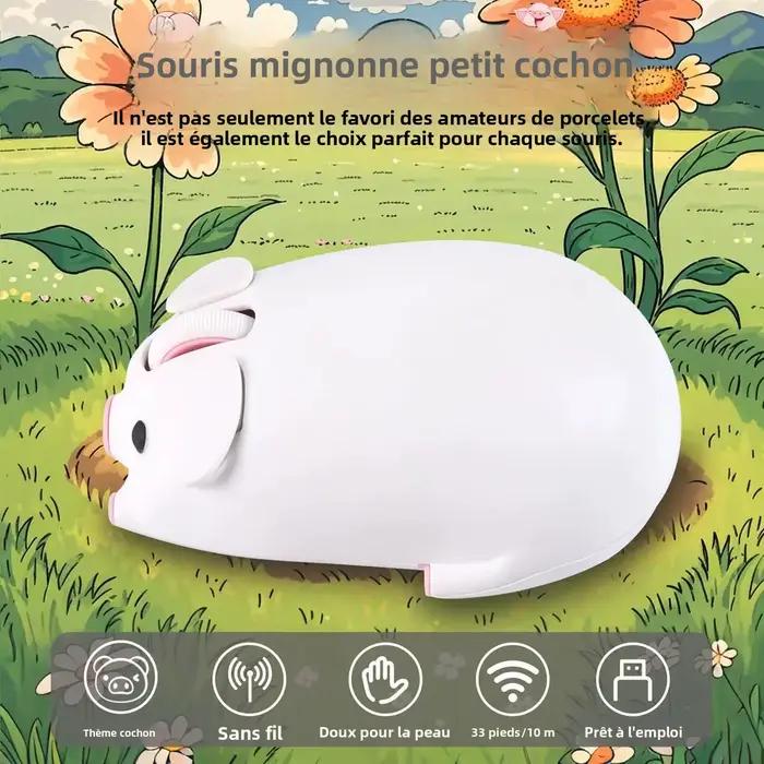 Souris ergonomique sans fil 2.4G Bluetooth double mode