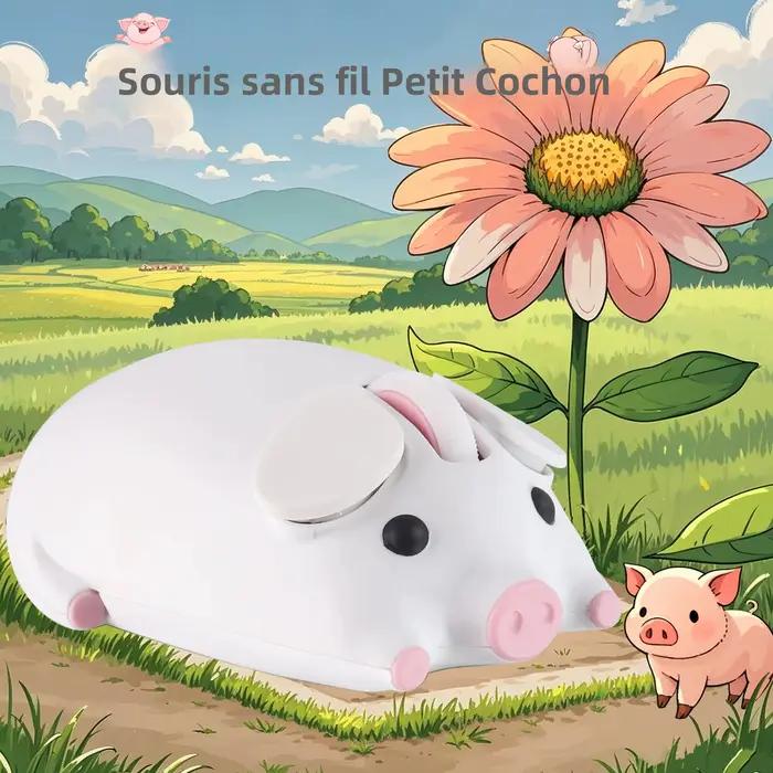 Souris sans fil 2.4G Bluetooth double mode