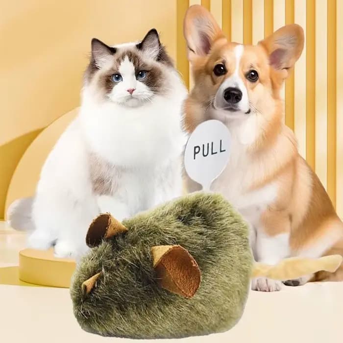 Jouet interactif en peluche pour chat
