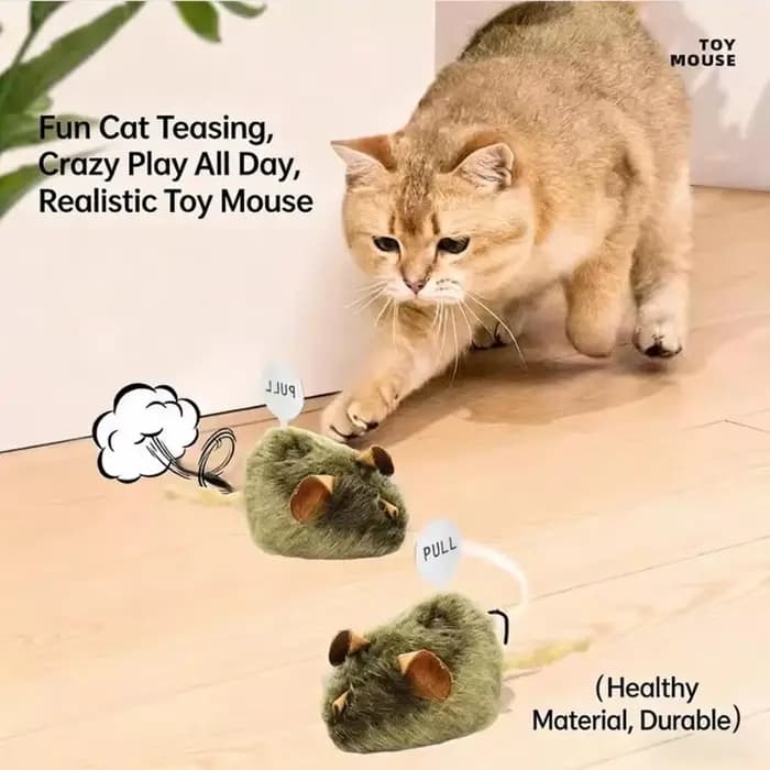 Jouet interactif en peluche pour chat