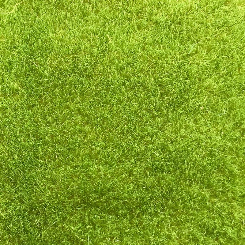 Tapis d'herbe de grande taille, modèle de gazon artificiel, échelle de paysage d'herbe, Train, paysa