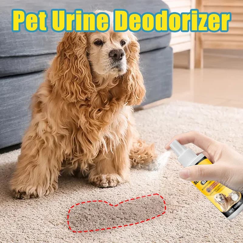 Spray Éliminateur d'Odeurs pour Animaux – Élimine les Odeurs d'Urine d'Animaux et de Litière pour Ca