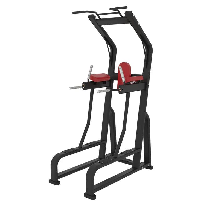 Machine commerciale de gymnase de poids libre d'équipement de forme physique de gymnase