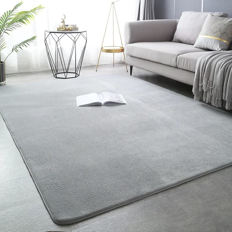 Tapis en velours de corail de couleur unie, moderne, pour salon, chambre à coucher, chevet, salon, T
