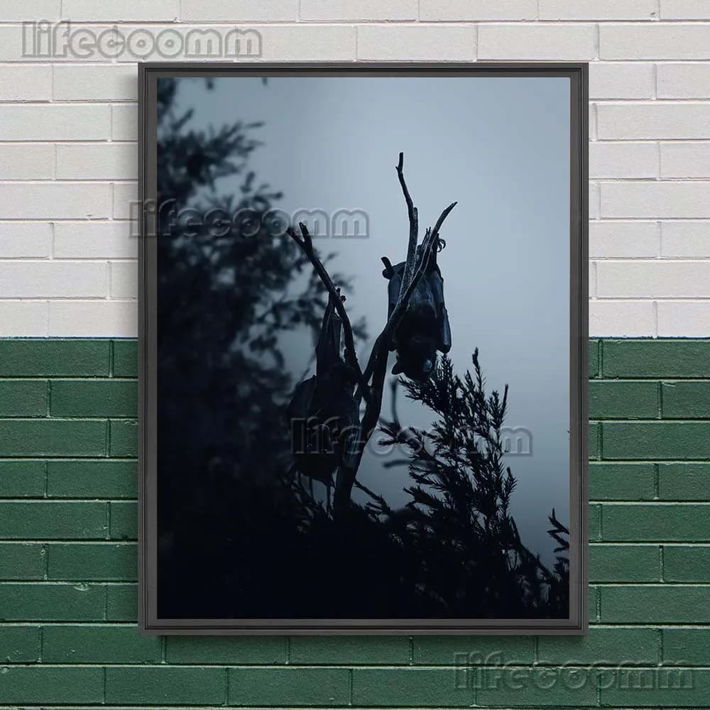 Toile d'art mural le Terrible chauve-souris dans la nuit, photographies de chauve-souris à sang froi