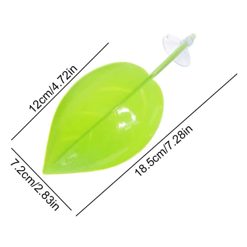 Ventouse de feuilles d'habitat de grenouille, zone de se prélasser pour Reptile, terrasse de repos,