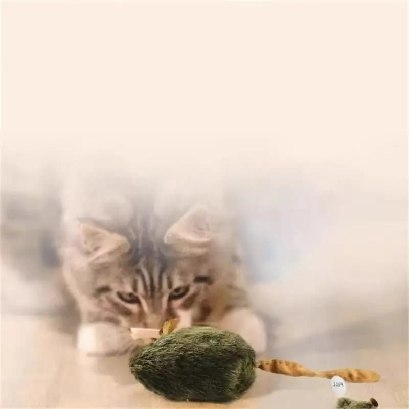 Jouet électronique pour chaton, gazouillis, souris grinçantes, jouet pour chats, soulage l'ennui