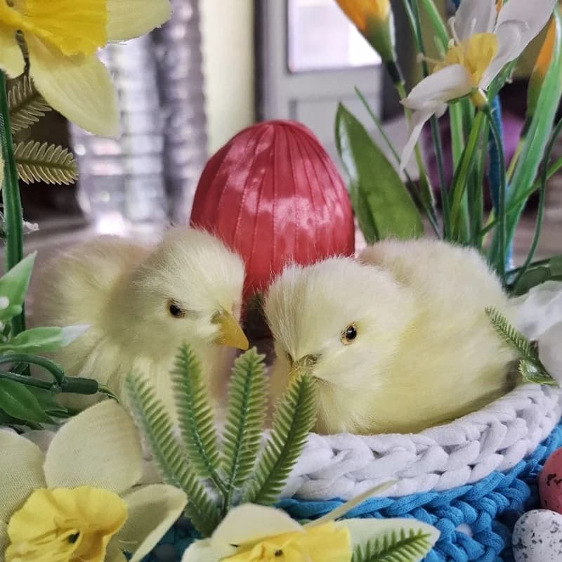 Peluche de poulet simulé, adorable poussin jaune, ornements animaux, décorations de Pâques, cadeaux pour enfants