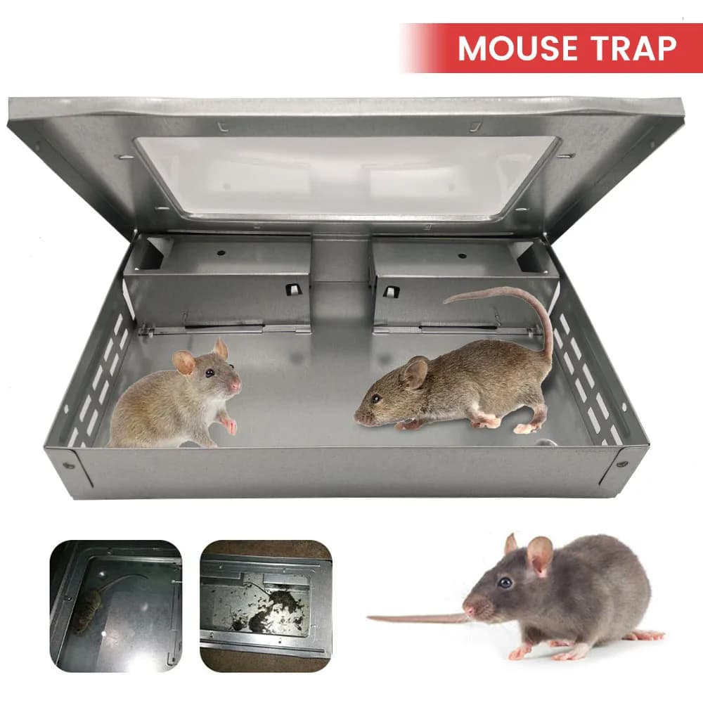 Attrape-souris auto-attrapant