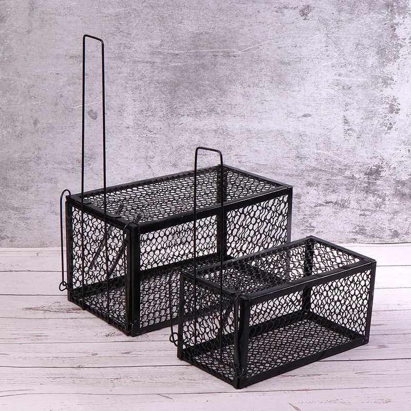 Piège à souris Cage